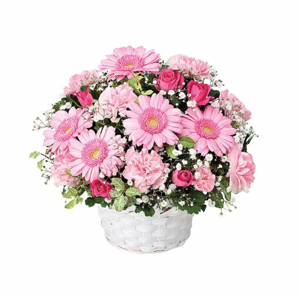 青森県青森市の花屋 中村生花店にフラワーギフトはお任せください 当店は 安心と信頼の花キューピット加盟店です 花キューピットタウン