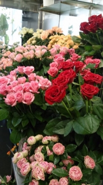 青森県青森市の花屋 中村生花店にフラワーギフトはお任せください 当店は 安心と信頼の花キューピット加盟店です 花キューピットタウン